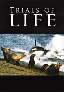 The Trials of Life (1990)