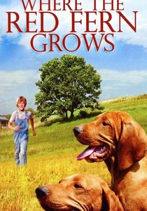 Where the Red Fern Grows (1974)
