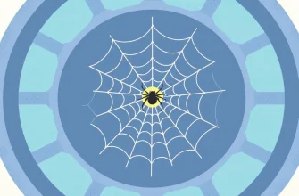 Family Spider Films Collection