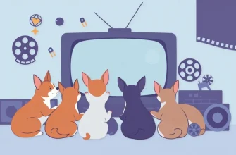 Top 10 Family Films About Chihuahuas