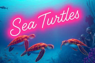 Fascinating Sea Turtle Documentaries to Watch