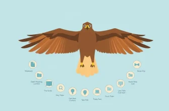 Family Films About Hawks