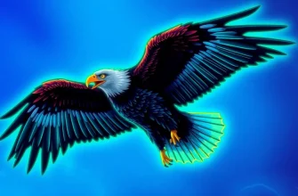 Films About Eagles: A Majestic Collection