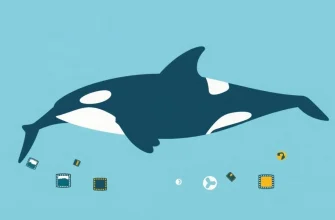 Family Films About Orcas