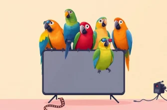Top 10 Family Parrot Films