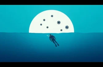 Top 10 Underwater Films About Diving and Snorkelling